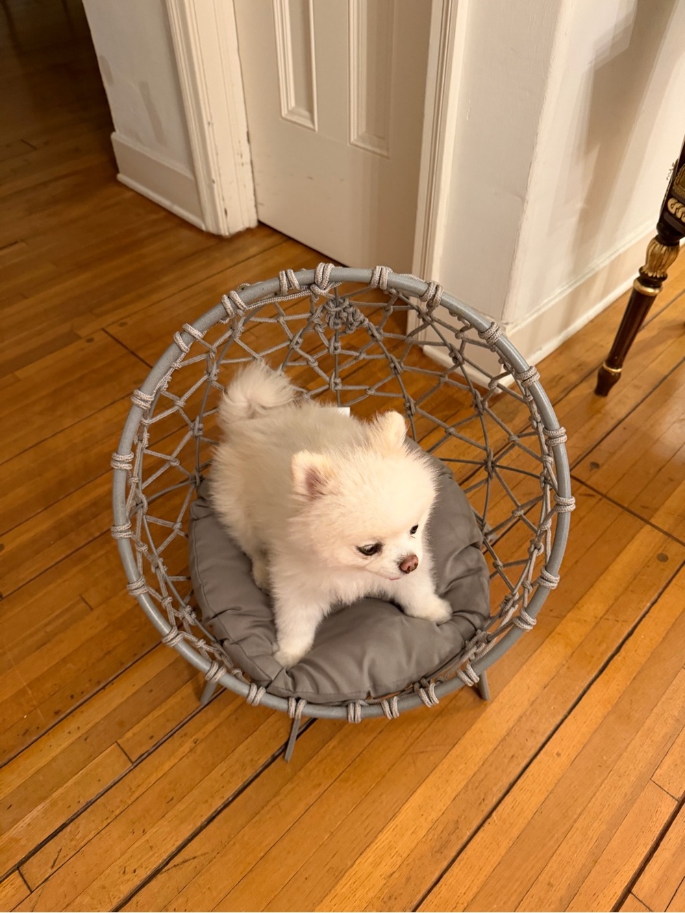 Round Macrame Hanging Chair with Gray Cushion